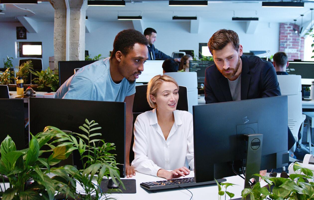 Track. Monitor. Optimize.